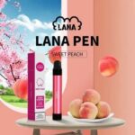 LANA PEN一次性電子煙 2000口 拋棄式電子煙 可充電：圖片 10